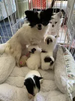 processed/4aec7151-0b87-47b9-9c8a-2b5ad9cd6ed4/facility/a7efe2ed-07b9-4996-bc62-098769fe1275