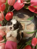 processed/4aec7151-0b87-47b9-9c8a-2b5ad9cd6ed4/listing/3378bd52-708e-4d8e-a17a-e6e1b1d32ccd/3dcc3c56-5385-4587-8879-c26f3b4486e0