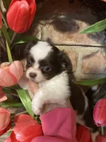 processed/4aec7151-0b87-47b9-9c8a-2b5ad9cd6ed4/listing/3378bd52-708e-4d8e-a17a-e6e1b1d32ccd/76ae776f-b584-4f21-bb5d-581d41b4c2ae