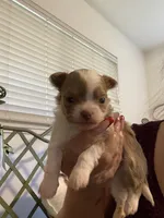 processed/4aec7151-0b87-47b9-9c8a-2b5ad9cd6ed4/listing/704b623a-3499-4ca7-8c36-f6e1a295438e/05434eca-5fff-4179-bbea-ecbd1f90ecd8