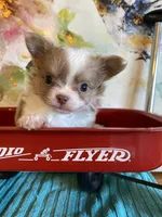 processed/4aec7151-0b87-47b9-9c8a-2b5ad9cd6ed4/listing/704b623a-3499-4ca7-8c36-f6e1a295438e/1b76cbcc-4d47-4ac1-acb8-00b63f838811