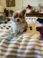 processed/4aec7151-0b87-47b9-9c8a-2b5ad9cd6ed4/listing/704b623a-3499-4ca7-8c36-f6e1a295438e/34d05cad-5599-49e3-894e-26b43e1f6a66