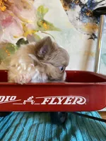 processed/4aec7151-0b87-47b9-9c8a-2b5ad9cd6ed4/listing/704b623a-3499-4ca7-8c36-f6e1a295438e/513fc115-e6b0-4a4c-bae1-018c93e2b7b1