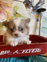 processed/4aec7151-0b87-47b9-9c8a-2b5ad9cd6ed4/listing/704b623a-3499-4ca7-8c36-f6e1a295438e/8053644d-66cc-4a31-af26-d7a59c2cbb78