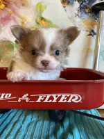 processed/4aec7151-0b87-47b9-9c8a-2b5ad9cd6ed4/listing/704b623a-3499-4ca7-8c36-f6e1a295438e/ebb1c84e-e3d3-484b-b6dd-f0ed34efcd04