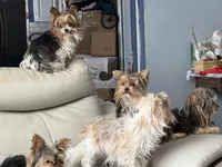 processed/4aed56d8-18e5-4893-a19a-40491880c425/listing/e36aa1d6-caff-4ed9-aad8-8a9465b30432/a8bdca1d-bc16-40a4-abc3-47b0fcf477ec