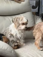 processed/4aed56d8-18e5-4893-a19a-40491880c425/listing/e36aa1d6-caff-4ed9-aad8-8a9465b30432/ca7b36ef-b243-4514-9ec5-421659d8fd9d