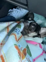 processed/4aee3e4d-7a7f-4ce9-be08-5f9844ed53e3/listing/f6605dd2-0037-448a-9932-ba6cb17ce1d9/aa7be1d0-2faf-4ed5-8d2f-e4efc47123cc