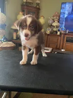 processed/4afb6901-cddc-403f-a263-f0f9b6a53295/listing/08cf3385-6e75-4911-b6a7-ee367879f57b/a219df87-d5c7-48a1-910a-e81fe4c1477c