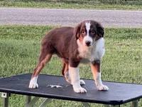 processed/4afb6901-cddc-403f-a263-f0f9b6a53295/listing/08cf3385-6e75-4911-b6a7-ee367879f57b/b8ac6d58-8f19-4e39-b994-1eec70c56e37