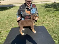 processed/4afb6901-cddc-403f-a263-f0f9b6a53295/listing/13b87f25-1878-4fea-919f-6d8540a94d70/2ca54d79-965f-489e-b3ff-4d3eb49d0198