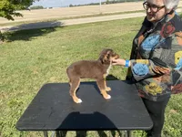 processed/4afb6901-cddc-403f-a263-f0f9b6a53295/listing/13b87f25-1878-4fea-919f-6d8540a94d70/bc07c2f7-e307-4ebe-b4ec-fabf5cb35648