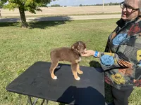 processed/4afb6901-cddc-403f-a263-f0f9b6a53295/listing/13b87f25-1878-4fea-919f-6d8540a94d70/c97e8914-5305-48ba-a281-93bea036ca99