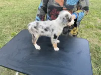 processed/4afb6901-cddc-403f-a263-f0f9b6a53295/listing/68be057e-4b95-4eda-89cc-39453bfe11fc/50e82b86-6806-41e2-b9d8-a17f45bb94db