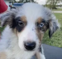 processed/4afb6901-cddc-403f-a263-f0f9b6a53295/listing/68be057e-4b95-4eda-89cc-39453bfe11fc/7567a549-a2be-4755-8bfe-ee1c1a6ca7da