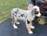 processed/4afb6901-cddc-403f-a263-f0f9b6a53295/listing/68be057e-4b95-4eda-89cc-39453bfe11fc/c52b052a-1bf5-44e5-9bf4-64ba346eeb16