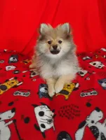 processed/4afc10da-7698-4b7b-9f82-bead09a91734/listing/f2db6224-b0c8-4a2e-9189-d6f1445a0cf1/4938c826-a10f-453c-9eed-2a7f4aad9b76