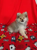 processed/4afc10da-7698-4b7b-9f82-bead09a91734/listing/f2db6224-b0c8-4a2e-9189-d6f1445a0cf1/9448b2cc-1a71-481c-ace9-8e1bc8e82b9f