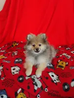 processed/4afc10da-7698-4b7b-9f82-bead09a91734/listing/f2db6224-b0c8-4a2e-9189-d6f1445a0cf1/c1c60a3f-4aec-42d9-9873-e1ceed9282e3