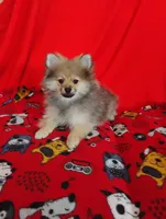 processed/4afc10da-7698-4b7b-9f82-bead09a91734/listing/f2db6224-b0c8-4a2e-9189-d6f1445a0cf1/f6840e45-14aa-4c9c-a154-867871832725