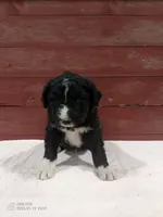 processed/4afc98a3-9407-483d-bd57-42c109636086/listing/d76ac414-ae12-44f8-a557-2875ec1d830d/147efa2d-be20-40c4-8377-f5fd1b11f87b