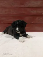 processed/4afc98a3-9407-483d-bd57-42c109636086/listing/d76ac414-ae12-44f8-a557-2875ec1d830d/4befe02d-59ee-4dc4-9aed-8d106086f760