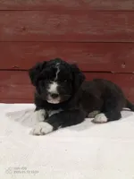 processed/4afc98a3-9407-483d-bd57-42c109636086/listing/d76ac414-ae12-44f8-a557-2875ec1d830d/a037b8fb-a6b5-49dd-8052-df48bdbf1a32