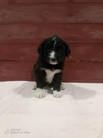 processed/4afc98a3-9407-483d-bd57-42c109636086/listing/d76ac414-ae12-44f8-a557-2875ec1d830d/d7285965-8812-4ef0-9ed5-4d617b07263f