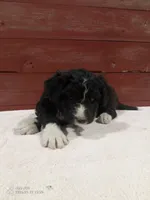 processed/4afc98a3-9407-483d-bd57-42c109636086/listing/d76ac414-ae12-44f8-a557-2875ec1d830d/e0eadfaa-9ce4-4617-a7c2-fdced646dd93