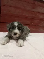 processed/4afc98a3-9407-483d-bd57-42c109636086/listing/e003f48e-f5c8-4fc5-bd78-e9f745e8798f/30e220d2-9c7c-4e0a-89e6-c5cafde896dc