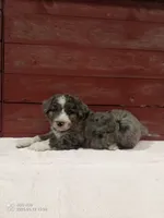 processed/4afc98a3-9407-483d-bd57-42c109636086/listing/e003f48e-f5c8-4fc5-bd78-e9f745e8798f/4f5be091-cac8-48e8-9d49-c381262b2294