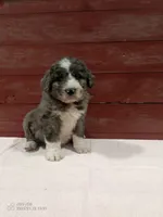 processed/4afc98a3-9407-483d-bd57-42c109636086/listing/e003f48e-f5c8-4fc5-bd78-e9f745e8798f/6c64fdc8-0d44-4a55-bff5-d3a4ad2fcf1d