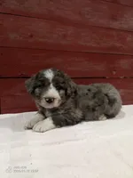 processed/4afc98a3-9407-483d-bd57-42c109636086/listing/e003f48e-f5c8-4fc5-bd78-e9f745e8798f/b8297118-1ebc-4407-85f3-1db738358fc6