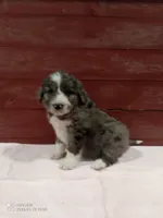 processed/4afc98a3-9407-483d-bd57-42c109636086/listing/e003f48e-f5c8-4fc5-bd78-e9f745e8798f/e33b4a68-0ad4-479f-9af5-45d2a5151300