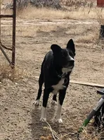 processed/4b0df9d6-c7f8-4d92-9427-27ece736930b/facility/154bf9da-ac31-457e-80d1-f2b0d2701111