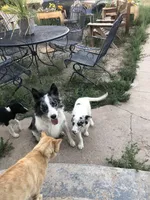 processed/4b0df9d6-c7f8-4d92-9427-27ece736930b/facility/50563913-746d-4257-98b4-1ae631075e77