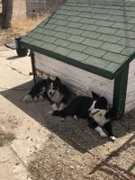 processed/4b0df9d6-c7f8-4d92-9427-27ece736930b/facility/6ce25ebc-d2c7-425f-ab12-ed08208ebc0a