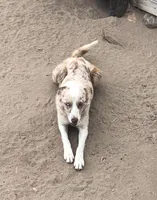 processed/4b0df9d6-c7f8-4d92-9427-27ece736930b/facility/6f53ecfb-3061-4254-a2c5-87e91e194b17