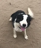 processed/4b0df9d6-c7f8-4d92-9427-27ece736930b/facility/de2dc668-61e7-452c-b508-f8e52b45e72e