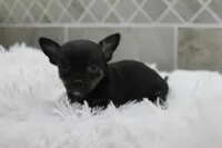 processed/4b189e15-73b4-4763-b4e2-f8866820798f/listing/755ebe32-2f9f-4374-a73e-a16de20d835d/2ca599d6-82d9-443a-b9ef-15f10d46543b