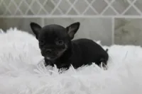 processed/4b189e15-73b4-4763-b4e2-f8866820798f/listing/755ebe32-2f9f-4374-a73e-a16de20d835d/5072285d-039f-41fe-a8b9-a7ca59ea87bf