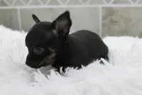 processed/4b189e15-73b4-4763-b4e2-f8866820798f/listing/755ebe32-2f9f-4374-a73e-a16de20d835d/6115e37a-ea98-4495-80ee-52ac45e73ef4