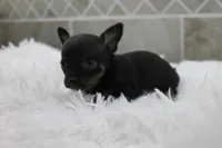 processed/4b189e15-73b4-4763-b4e2-f8866820798f/listing/755ebe32-2f9f-4374-a73e-a16de20d835d/65c44bae-24a7-4f75-9e38-1d671a8a1ae7