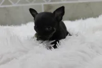 processed/4b189e15-73b4-4763-b4e2-f8866820798f/listing/755ebe32-2f9f-4374-a73e-a16de20d835d/7f683810-cd6b-460e-83b0-e2645c177cec