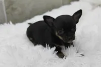 processed/4b189e15-73b4-4763-b4e2-f8866820798f/listing/755ebe32-2f9f-4374-a73e-a16de20d835d/c22886d2-cbbe-4e53-a83d-fe6bc76f4a02