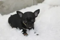 processed/4b189e15-73b4-4763-b4e2-f8866820798f/listing/755ebe32-2f9f-4374-a73e-a16de20d835d/e4b46754-a3e3-4561-aea9-004b5d0e1a77