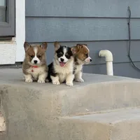 processed/4b1c04ca-1193-442e-893c-ad82bf4fa831/facility/ac0af643-2c3e-4362-9f85-e20b5f2f3bc4