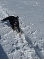 processed/4b1d5098-3198-4274-81c0-b251f4743965/facility/07e5d543-593a-4887-b94d-6a74711e8606