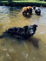 processed/4b1d5098-3198-4274-81c0-b251f4743965/facility/2c91e481-afc6-4e03-b352-87a7349cb065