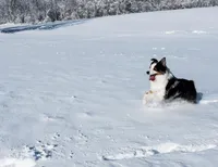 processed/4b1d5098-3198-4274-81c0-b251f4743965/facility/526cf164-9c91-4a93-82de-02d5d895e86e